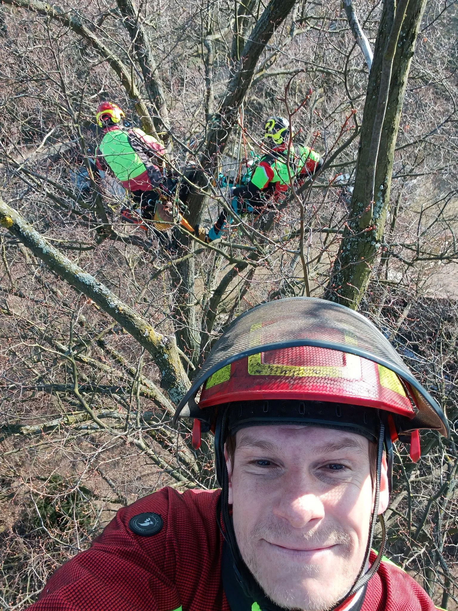 Arborista Vojta Koutský při práci vysoko v koruně stromu