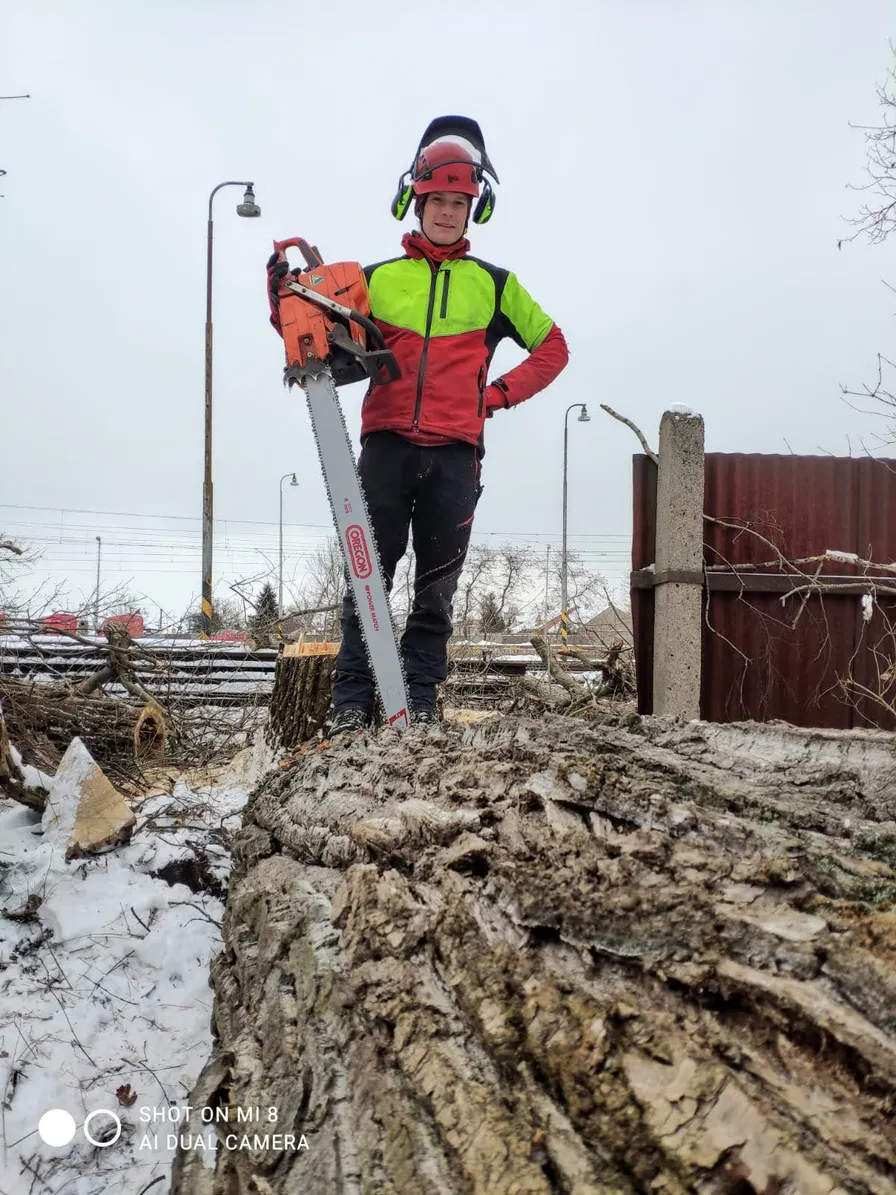 Vojta Koutský - arborista s motorovou pilou